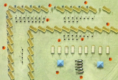 Macoun001.jpg