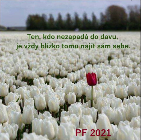 PF 2021 rudý kalich 1.jpg