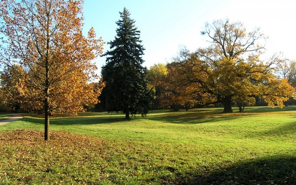 Mošnice-park.jpg