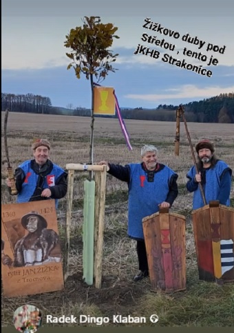 Strakonice 600 (6dubů)a.jpg